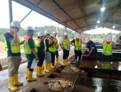 PT TIMAH Perkuat Transparansi, Fasilitasi Kunjungan Investor ke Rantai Produksi