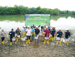 PT TIMAH dan Pemkab Bangka Revitalisasi Kolong AKHLAK Air Kantung, Tanam 560 Bibit