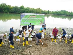 Kolaborasi PT TIMAH, Pemkab Bangka dan Warga Sulap Kolong AKHLAK Jadi Kawasan Produktif