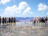 PT TIMAH Tanam 5.000 Mangrove di Pantai Mudong, Cegah Abrasi hingga Jaga Ekosistem Pesisir