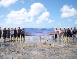 PT TIMAH Tanam 5.000 Mangrove di Pantai Mudong, Cegah Abrasi hingga Jaga Ekosistem Pesisir