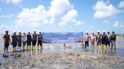 PT TIMAH Tanam 5.000 Mangrove di Pantai Mudong, Cegah Abrasi hingga Jaga Ekosistem Pesisir