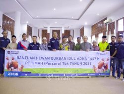 PT TIMAH Salurkan Hewan Kurban di Bangka Tengah, Ribuan Warga Terima Manfaat