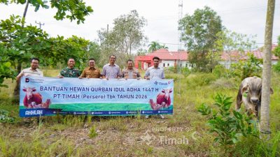 PT TIMAH Salurkan 31 Sapi Kurban di Bangka Selatan, Bupati: Manfaatnya Sangat Dirasakan Warga