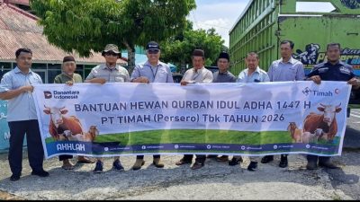 PT TIMAH Distribusikan 39 Sapi Kurban di Bangka Barat, Warga: Manfaatnya Sangat Terasa