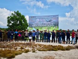 PT TIMAH Tanam 500 Pohon di Sempadan Sungai Romodong, Dorong Pemulihan Lingkungan di Belinyu