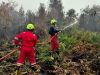 Tangani Karhutla di Kalimantan Barat, PT TIMAH Kerahkan Personel Fire Fighter Bersama Grup MIND ID 