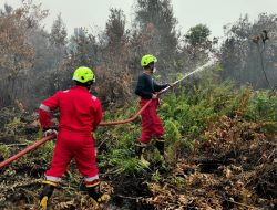 Tangani Karhutla di Kalimantan Barat, PT TIMAH Kerahkan Personel Fire Fighter Bersama Grup MIND ID 