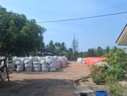 2.000 Ton Tin Slag di Pasir Padi Tanpa Izin DLHK, Asal-Usul dan Pemilik Dipertanyakan