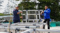 PT TIMAH Tenggelamkan Ribuan Terumbu Buatan, Perkuat Ekosistem Laut Babel