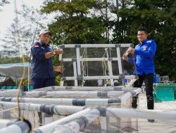 PT TIMAH Tenggelamkan Ribuan Terumbu Buatan, Perkuat Ekosistem Laut Babel
