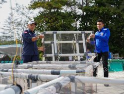 PT Timah Tenggelamkan 81 Atraktor Cumi di Perairan Bangka, Bantu Nelayan Hemat BBM
