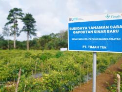 Dari Pertanian hingga Perikanan, PT TIMAH Dukung Ketahanan Pangan di Wilayah Operasional   